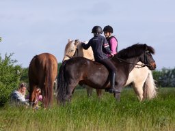 IMG_5727_web